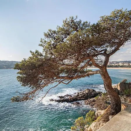 Holiday home Cozy In Santa Cristina Daro With Wifi